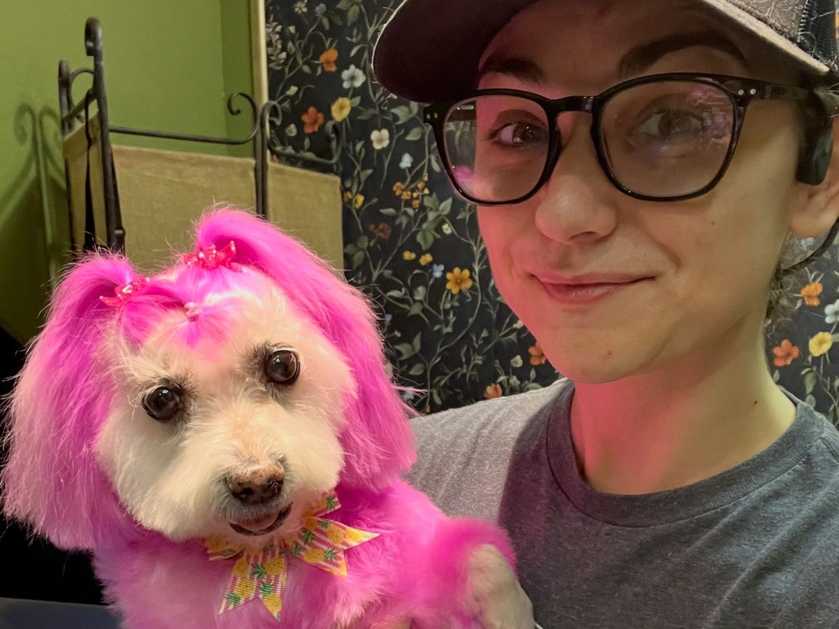 Chelsea with a freshly groomed pup